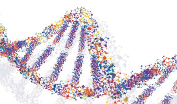 Uncovering Your Cancer Risk with Genetic Counseling